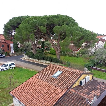 Apartments Ingrid Novigrad Istria Extérieur photo