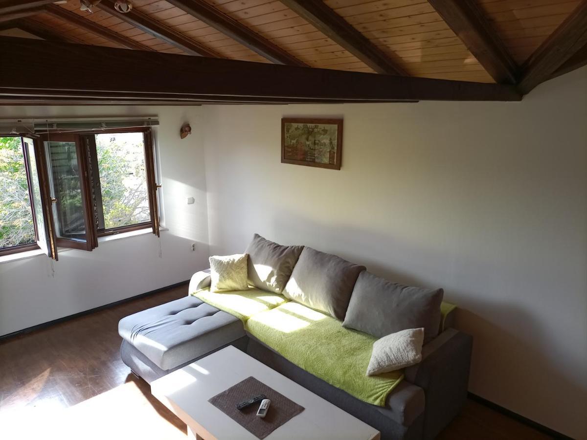 Apartments Ingrid Novigrad Istria Extérieur photo
