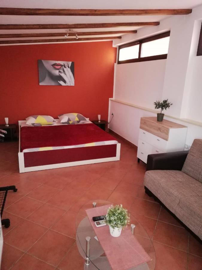 Apartments Ingrid Novigrad Istria Extérieur photo