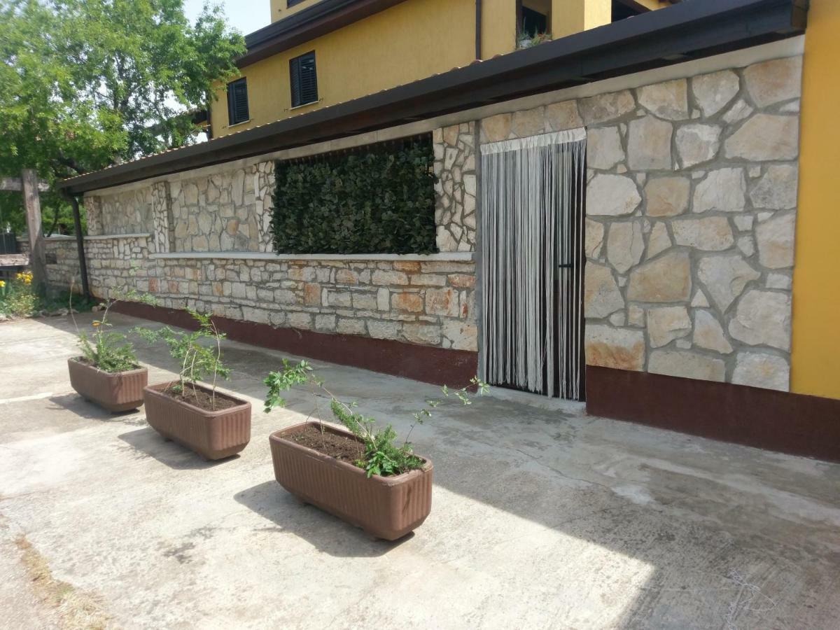 Apartments Ingrid Novigrad Istria Extérieur photo