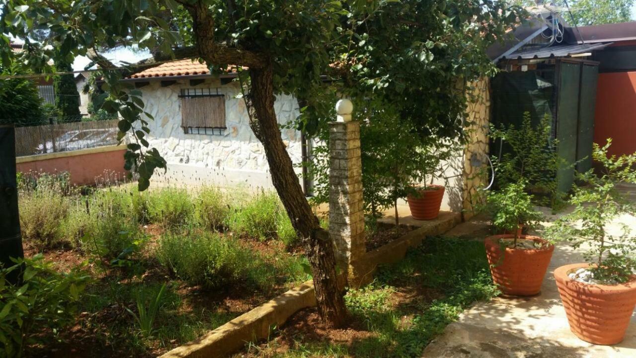 Apartments Ingrid Novigrad Istria Extérieur photo