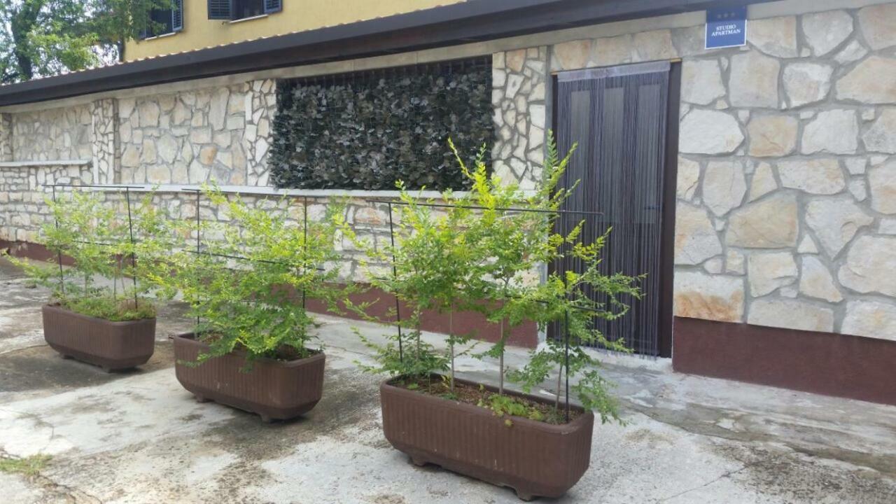 Apartments Ingrid Novigrad Istria Extérieur photo